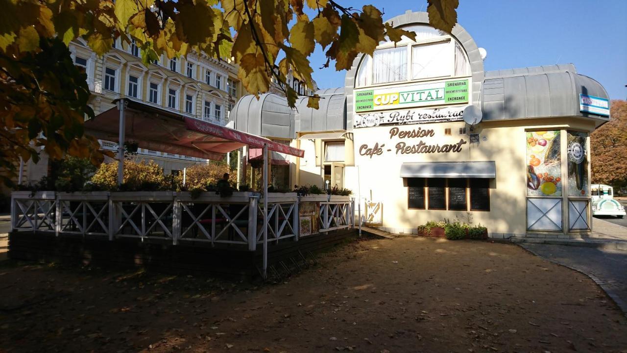 Penzion U Pidly Mariánské Lázně Kültér fotó